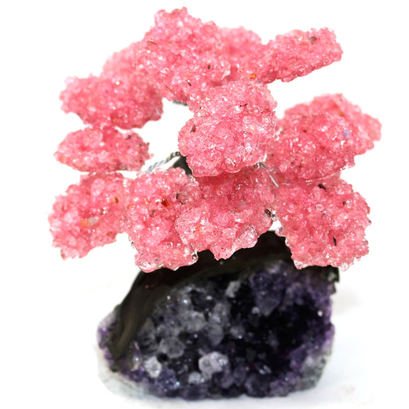 Rose Quartz Geode on Amethyst the Love Tree Borehamwood Crystal