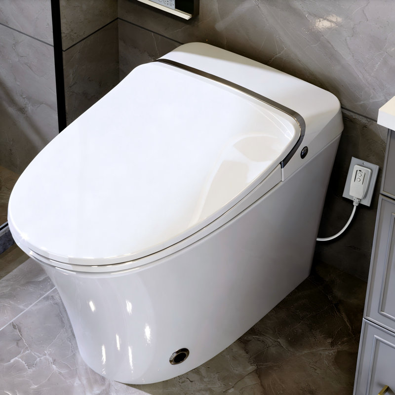 Luxury Elongated Bidet Smart Toilet, Warm Water & Dryer, Heated Seat, Remote Control, Led Night Light, Power Outage Flush, Soft Close Cover, White