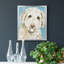 Labradoodle I, toile encadrée de qualité supérieure - prête à être accrochée-547013909-547013908