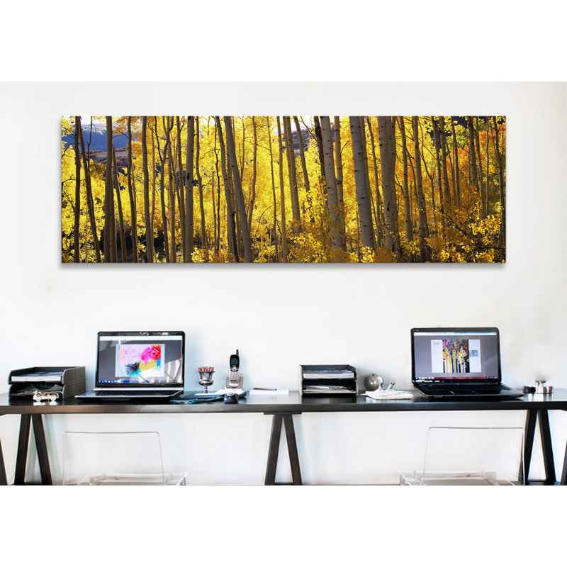 Panoramic Aspen Trees - Reproduction de photo sur toile tendue, H 20 po x l 60 po x P 1,5 po