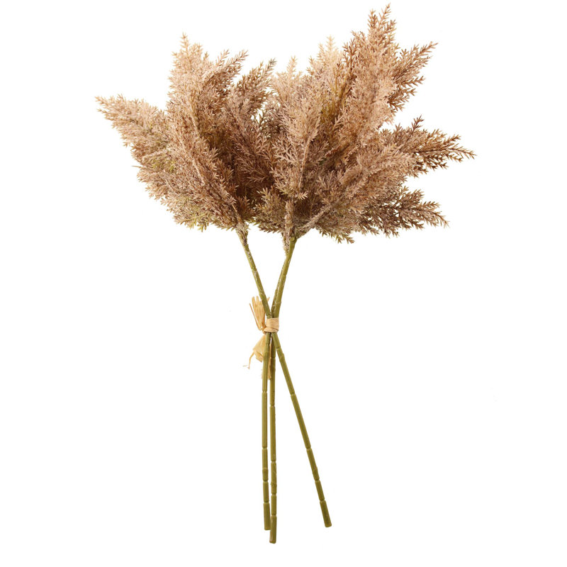 Arrangement, Brown