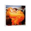 Flaming June by Frederic Leighton - Floater Frame Painting on Canvas-122486725-122486726