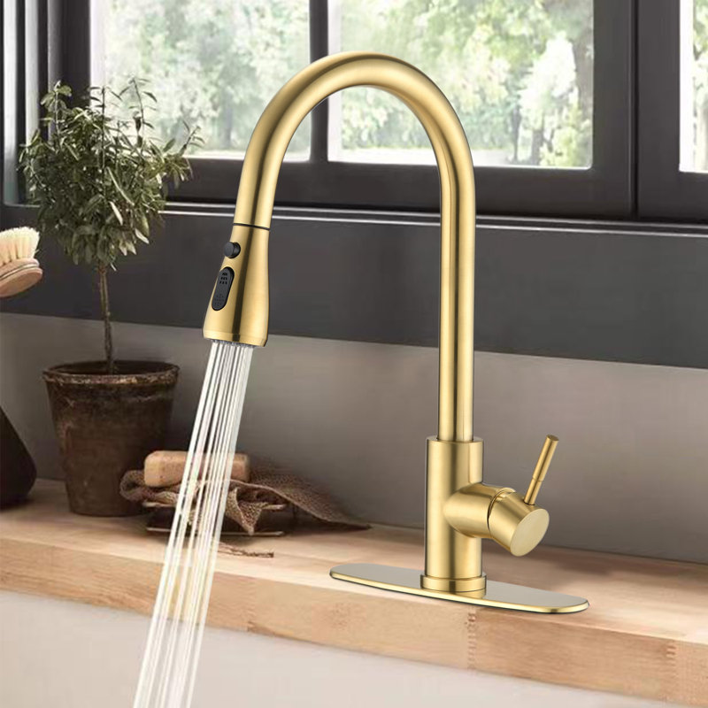 NOVEL Pull Out Kitchen Faucet, Brushed Gold