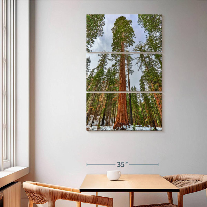 Giant Sequoia Grove, 65" H x 42" W