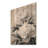 Monochrome Soft Focus Peonies I - Peonies Wood Print - On Natural Pine Wood-1844327365