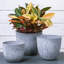 Ensemble de pots à fleurs 3 pièces-516122976
