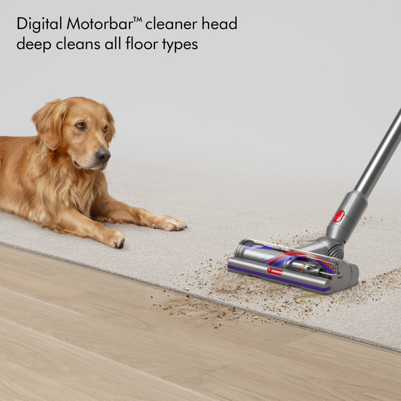 Dyson Cordless V15s Wet / Dry Vacuum