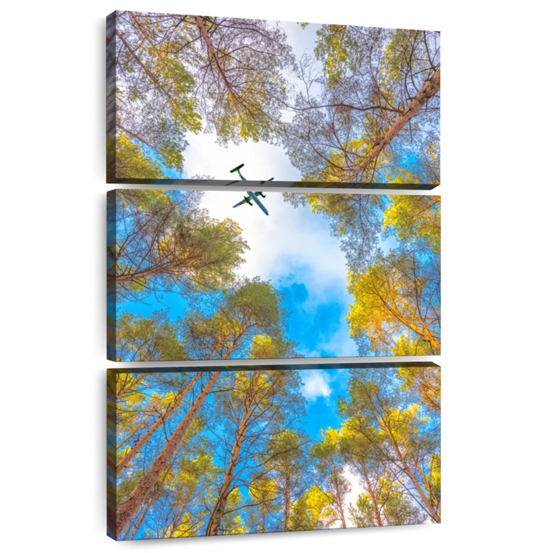 Harnek Plane Over Scots Pines