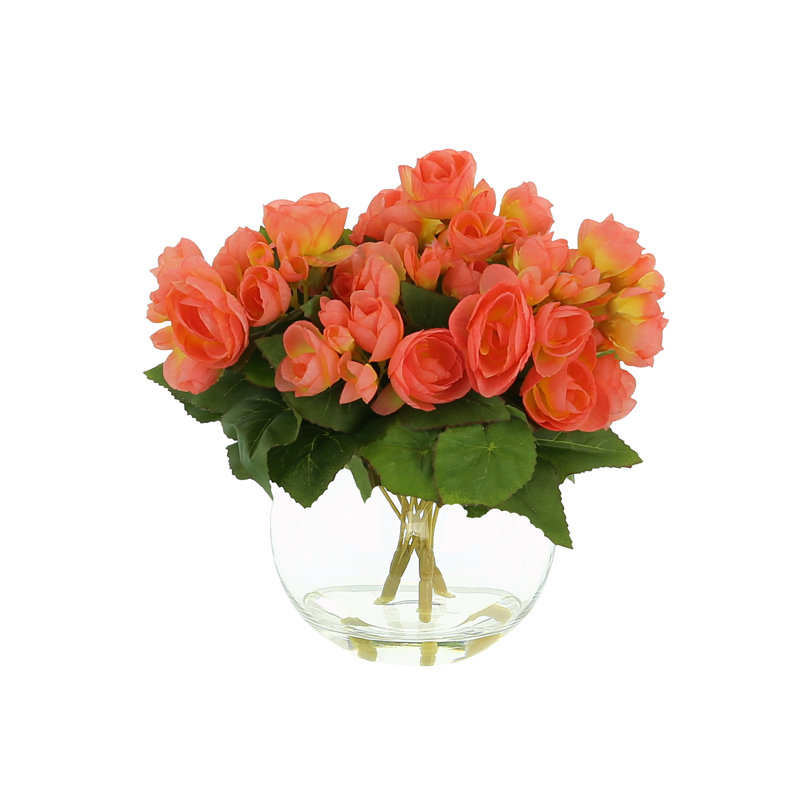 Arrangement floral bégonia dans un vase, Orange