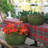 High quality ceramic flowerpot-2137162897