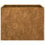 Planter-1920376238-1937852853