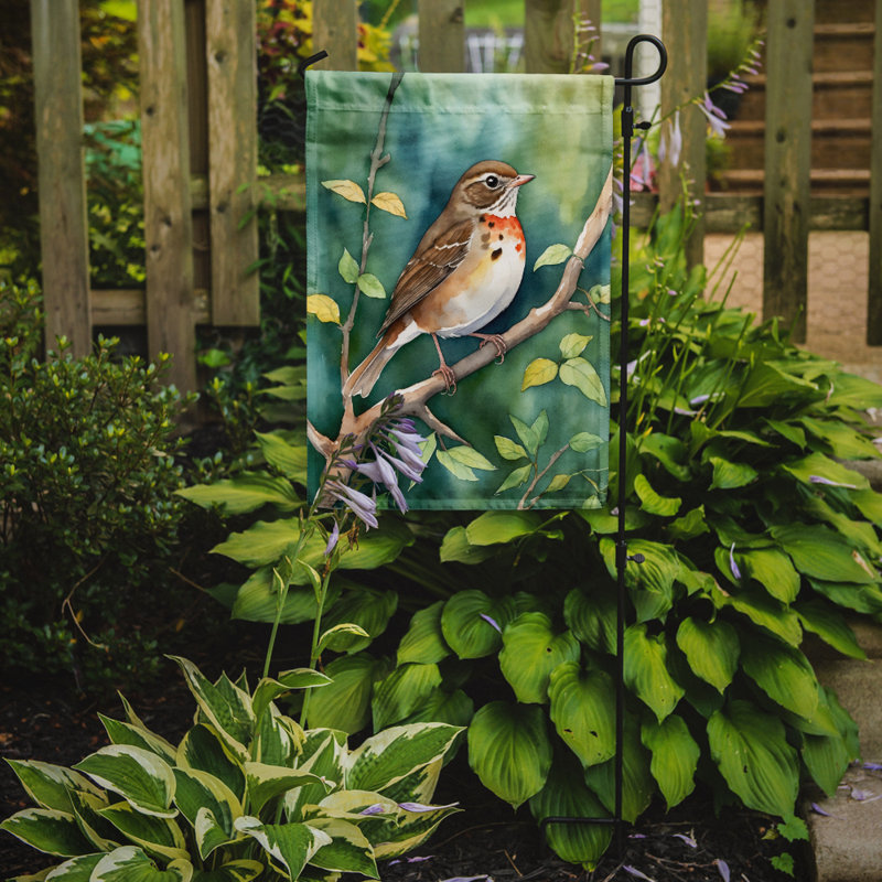 Drapeau de jardin, Grive du Vermont