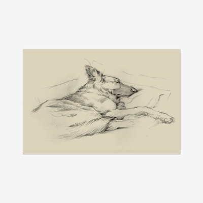 Dog Days IV 1 Piece Wall Art