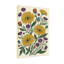 Plantes et fleurs marguerites jaunes fleurs mauves feuilles vertes