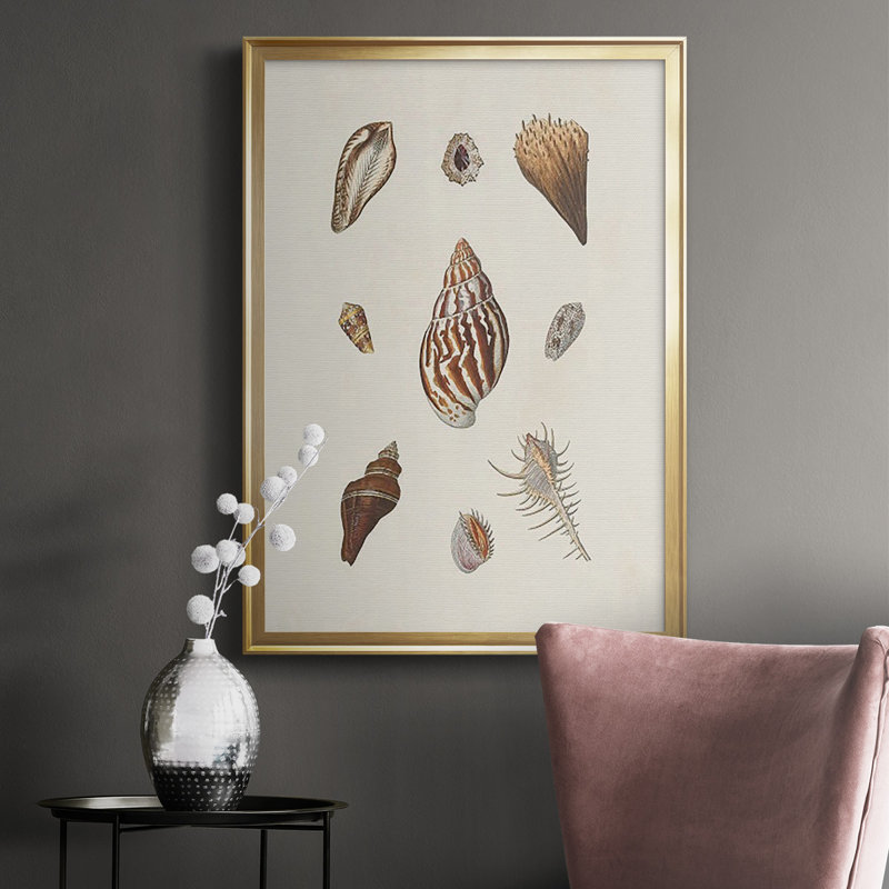 Knorr Shells & Coral IX, reproduction encadrée de qualité supérieure - prête à être accrochée, H 30,5 po x l 22,5 po x P 1 po