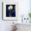 Jolie comme une pivoine - Reproduction de photo encadrée sur papier-721137898-721137899