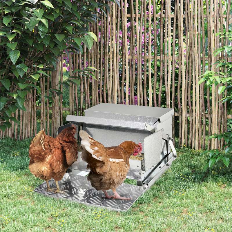 Système d'alimentation automatique pour la volaille - capacité de 25 lb, galvanisé et aluminium, économise du travail et du temps