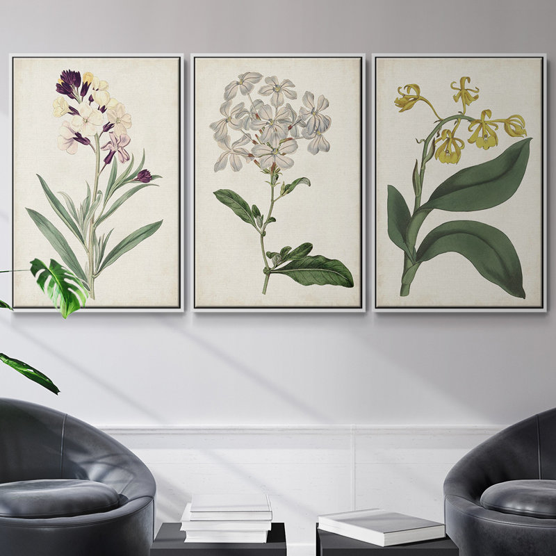 Ensemble de 3 pièces encadrées sur toile Antique Botanical Collection VII, H 27 po x l 54 po, Blanc
