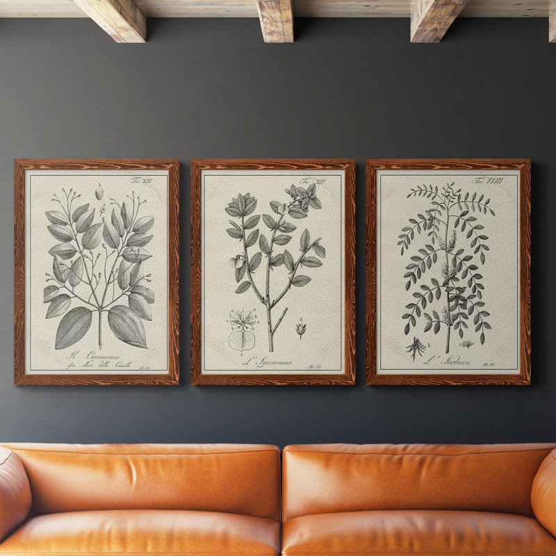 " Antique Black And White Botanical VII " 3 - Pieces, Maple, 31.5" H x 70.5" W