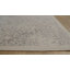Oriental Area Rug-178856526