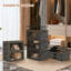 Boîte de rangement 19,6 po avec couvercle pliable et 4 paquets-1618215876