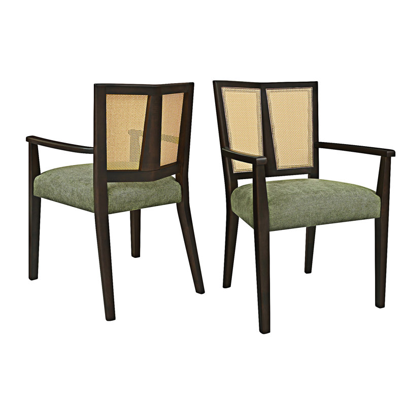 Chaise de salle à manger en bois avec accoudoirs (ensemble de 2), Vert, Brun foncé