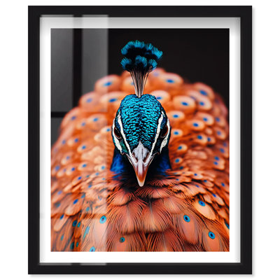 Art mural de salon Fiery Peacock II Shadowbox par Notoriart, cadre noir, 24 x 30