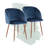 Terrance 18.5'' H Velvet Upholstered Parsons Chair-2019057089-2019242823