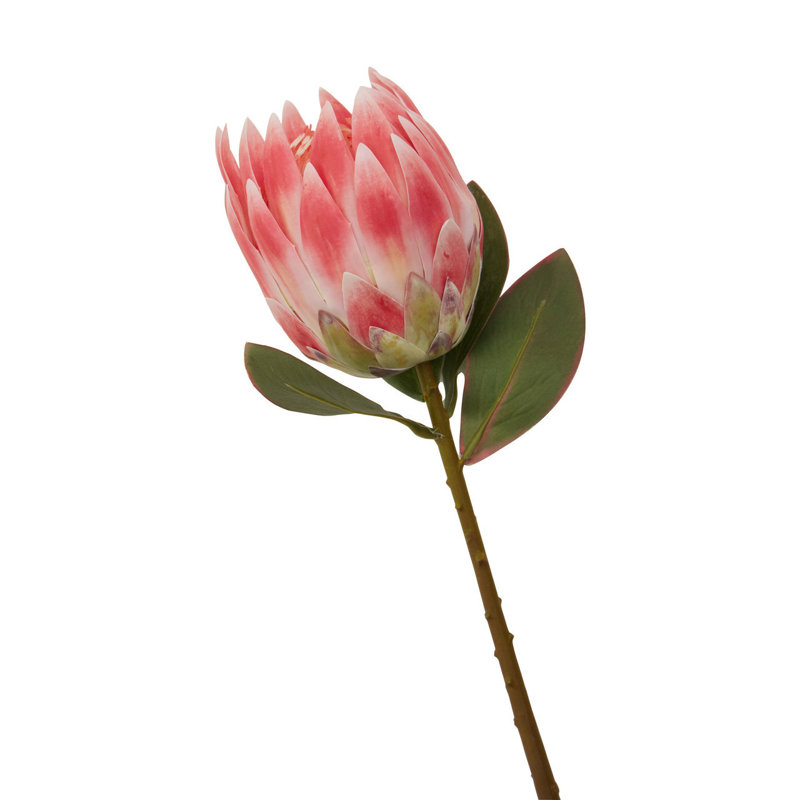 Fiori Protea Arrangement