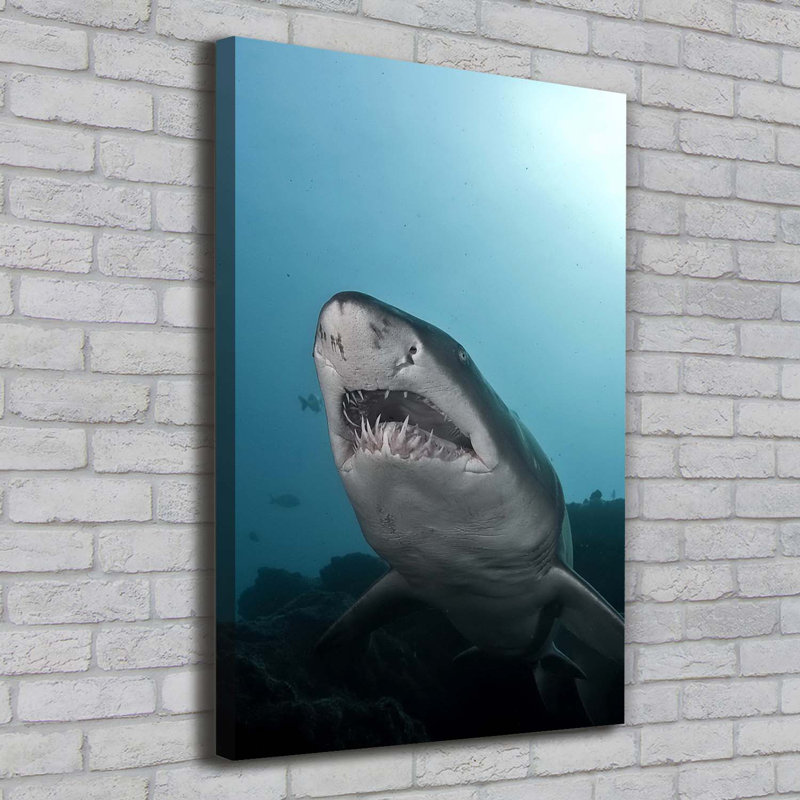 Big Shark - Wrapped Canvas Print