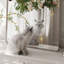 Miroir de salle de bain mural Premium Premium-52941784-59385203-59385193