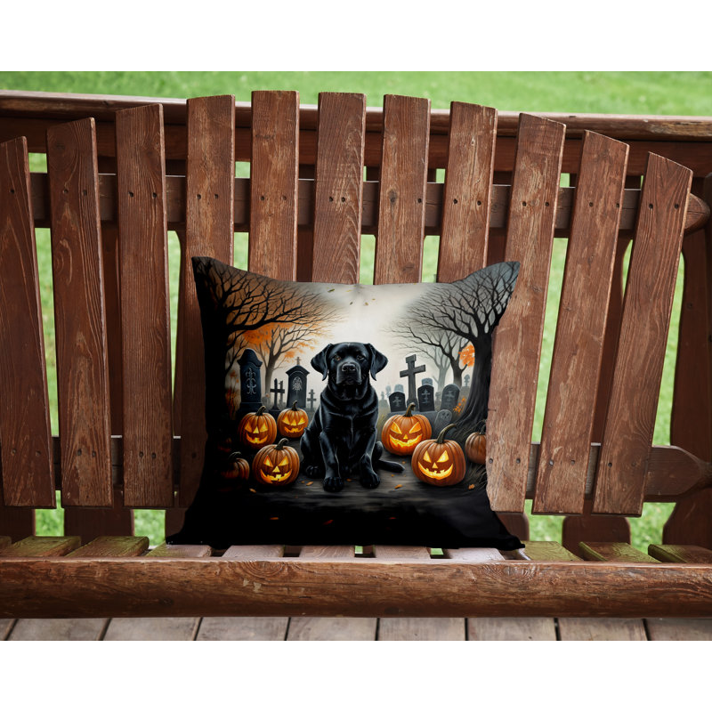 Other/No Pattern Outdoor Throw Pillow, 14" x 14"