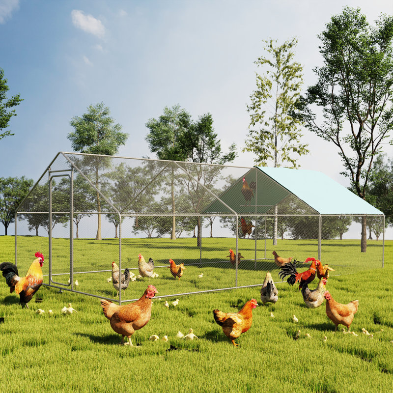 Poulailler de 192 pieds carrés avec couvercle imperméable pour 48 à 64 poulets, H 78,74 po x l 118,11 po x P 236,2 po