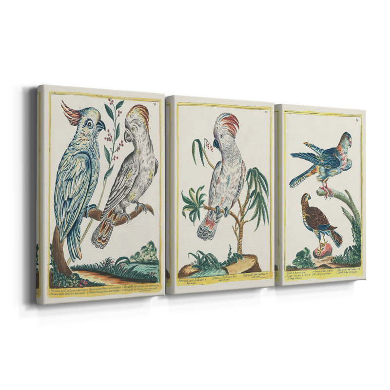 Oiseaux pastel I - Toile tendue avec châssis sur mesure - 3 pièces, H 12 po x l 24 po