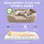 Lit pour chien Lesure, lit orthopédique imperméable pour animaux de compagnie avec côtés, fond antidérapant à haut dossier et canapé en mousse pour caisse d'œufs avec housse amovible et lavable-121145527-121145533
