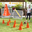 30cm H Plastic Dog Agility-115359579