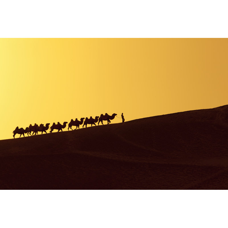 Silk Road - Wrapped Canvas Print, 30cm H x 46cm W x 3.8cm D