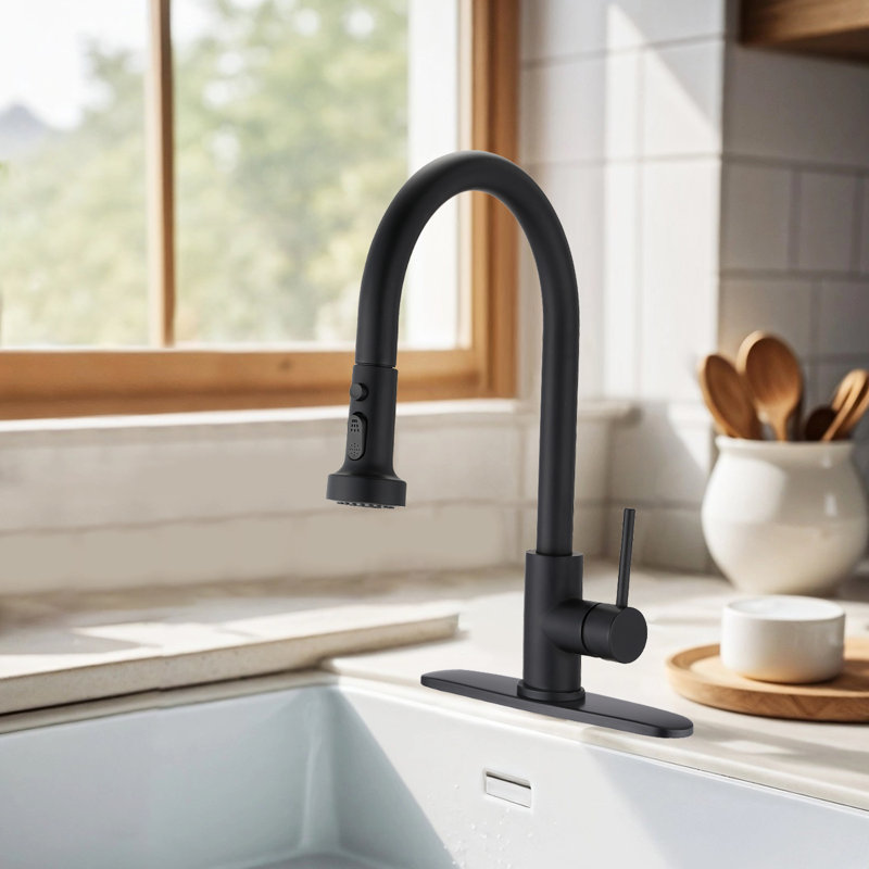 Robinet de cuisine à poignée simple avec plaque de base Topcraft, noir mat, Noir mat