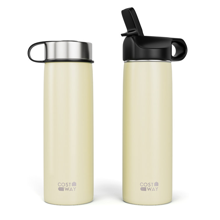 https://assets.wfcdn.com/im/53149200/resize-h755-w755%5Ecompr-r85/2274/227414931/Costway+22oz.+Insulated+Stainless+Steel+Water+Bottle+Straw.jpg
