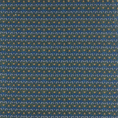 Eye Bright Fabric