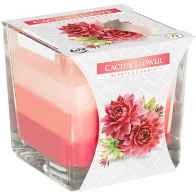 Cactus Flower Scented Jar Candle with Glass Holder