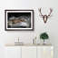 Alligator Watchful Eye in Abstract - Picture Frame Graphic Art Print-55682951-55682950