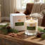 Bougie parfumée Balsam Sedarwood, 50 heures de combustion, cire de soja naturelle