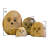 Stone Age Creations 6" Boulder Cat