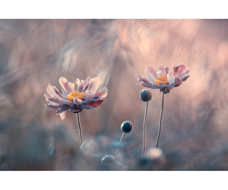 Wrapped Canvas Print, 60.96 cm H x 91.44 cm W