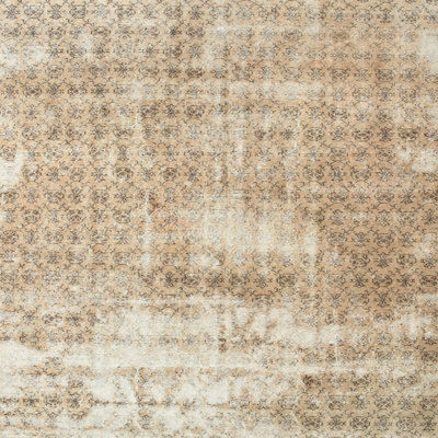 Oriental Indoor Rug