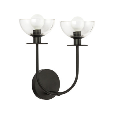 Delisa 2 Light Transparent Vanity Light