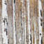 Elena - peinture sur toile tendue-1818584725