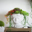 Jardinière en ciment de style grec - décor de jardin intérieur et extérieur, P 7 po x 11 po