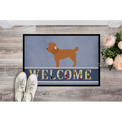 Non-Slip Outdoor Doormat